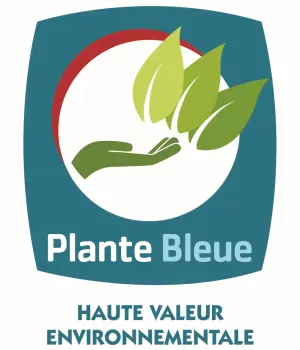 Plante Bleue